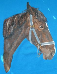 Pferdeportrait selbstgemalt auf blauem T-Shirt, gemalt mit Stoffmalfarben, besonders viele Details im Gesicht zu erkennen