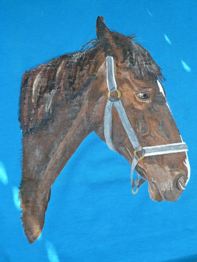 Pferdeportrait handgemalt auf T-Shirt - Stoffe bemalen
